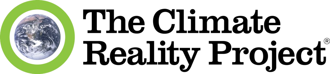 Collaborator 5